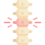 Spine 图标 64x64