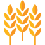Wheat icon 64x64