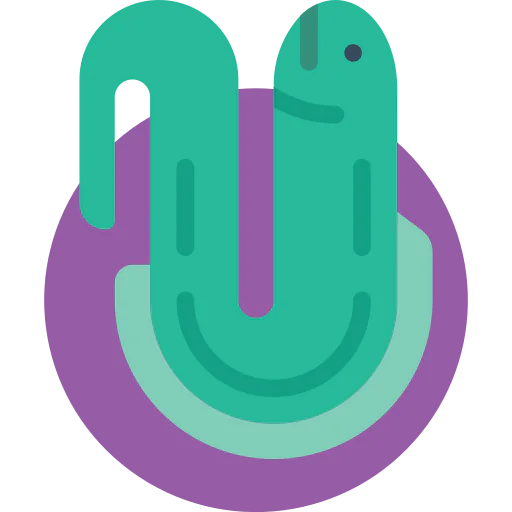 Fish icon