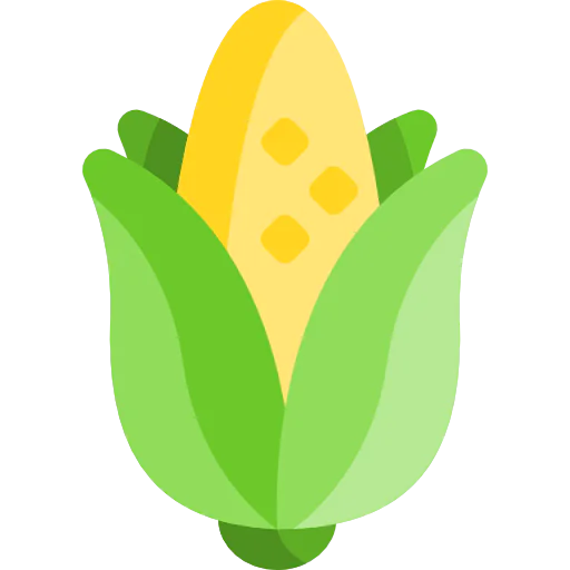 Corn icon