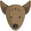 Xoloitzcuintle icon 64x64