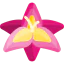 Gladiolus icon 64x64