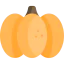 Pumpkin icon 64x64