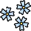 Flowers 图标 64x64