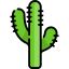 Cactus 图标 64x64