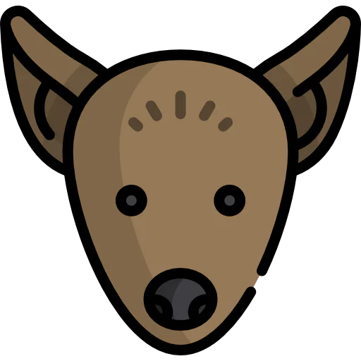 Xoloitzcuintle 图标