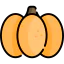 Pumpkin 图标 64x64