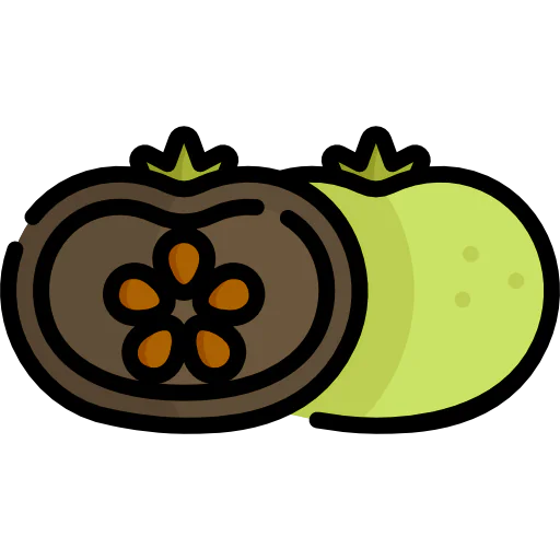 Sapote icon