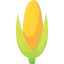 Corn icon 64x64