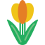 Tulip icône 64x64