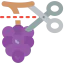 Grapes icon 64x64