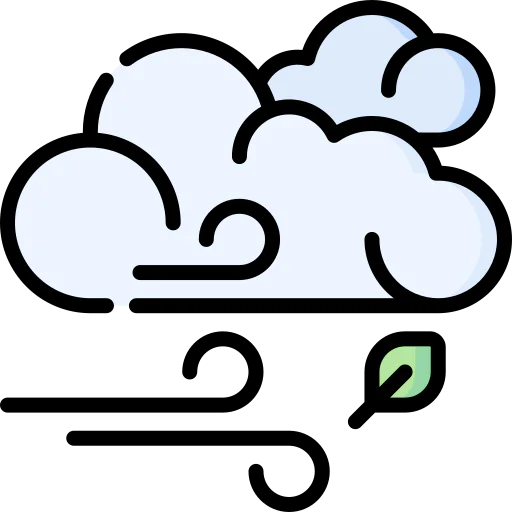 Windy icon