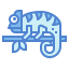 Chameleon icon 64x64