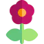 Poppy 图标 64x64