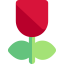 Tulip ícono 64x64