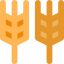 Wheat ícono 64x64