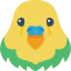 Bird іконка 64x64