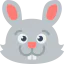 Bunny іконка 64x64