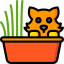 Cat icon 64x64