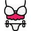 Lingerie icon 64x64