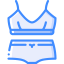 Lingerie 图标 64x64
