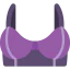 Brassiere icon 64x64