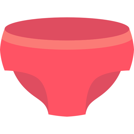 Knickers icon