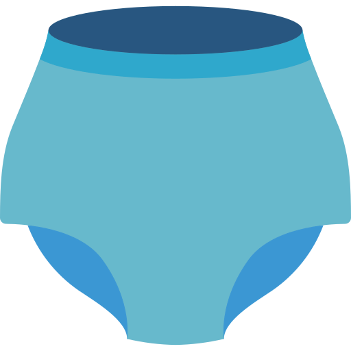 Knickers icon