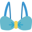 Brassiere icon 64x64