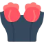 Corset 图标 64x64
