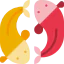 Fish 图标 64x64