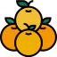 Orange 图标 64x64