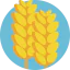 Gluten icon 64x64