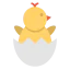 Chick ícone 64x64