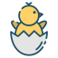 Chick ícone 64x64