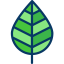 Leaf icône 64x64