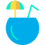 Coconut 图标 64x64