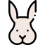 Rabbit Ikona 64x64