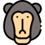 Monkey Ikona 64x64