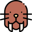 Walrus Ikona 64x64