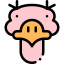 Ostrich Ikona 64x64