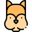 Squirrel іконка 64x64