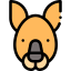 Kangaroo іконка 64x64