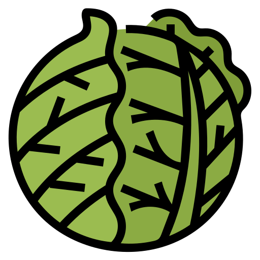 Cabbage icon