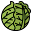 Cabbage icon 64x64