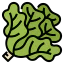 Lettuce icon 64x64