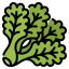 Lettuce icon 64x64