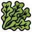 Lettuce icon 64x64