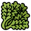 Lettuce icon 64x64