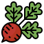 Radishes icon 64x64